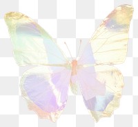 PNG Holographic butterfly ripped paper animal insect petal.