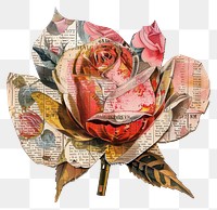 PNG Rose shape collage flower plant