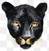 PNG Black leopard wildlife animal mammal.