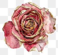 PNG Rose shape collage cutouts flower petal plant