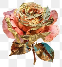 PNG Rose shape collage cutouts flower petal plant