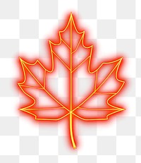PNG Maple leaf icon outdoors light night.