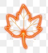 PNG Maple leaf icon outdoors light night.