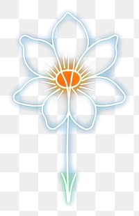 PNG Daffodil icon neon light line.