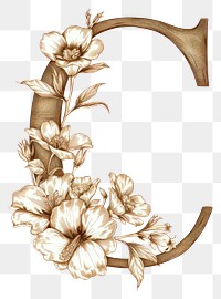 PNG Letter c flower sketch plant.