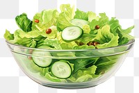 PNG Bowl vegetable lettuce salad, digital paint illustration. 