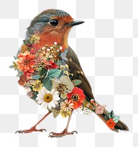 PNG Flower Collage Robin Bird pattern robin bird.