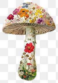 PNG  Flower Collage Mushroom mushroom flower blossom.