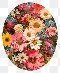 PNG  Flower Collage oval shaped flower asteraceae blossom.