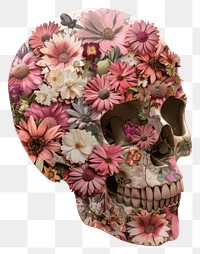 PNG  Flower Collage Skull flower asteraceae clothing.