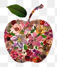 PNG Flower Collage Apple pattern collage flower.