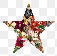 PNG  Flower Collage Star shaped flower blossom symbol.