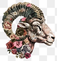 PNG  Flower Collage Aries Zodiac livestock female person.