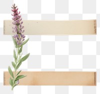 PNG  Lupine ephemera letterbox blossom mailbox.