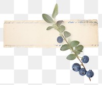 PNG  Blueberry ephemera produce fruit plant.