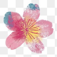 PNG Cherry blossom Shaped Risograph style cherry blossom outdoors anemone.