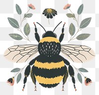 PNG Boho of bee illustration invertebrate bumblebee andrena.