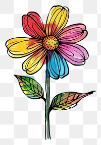 PNG Colorful marker of flower art illustrated asteraceae.