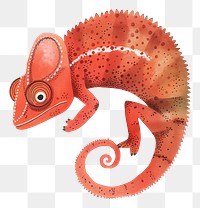 Namaqua Chameleon png wild animal digital art, transparent background