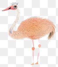 Ostrich png wild animal digital art, transparent background
