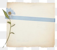 PNG  Blue flower ephemera asteraceae letterbox envelope