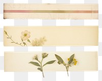 PNG  Botanical flower ephemera letterbox graphics envelope.