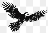 PNG  Parrot blackbird agelaius stencil.