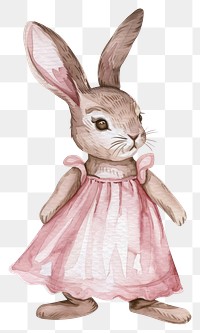 PNG Baby girl rabbit wearing a pink dress person animal mammal.