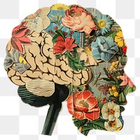 PNG Brain shape collage cutouts painting blossom flower.