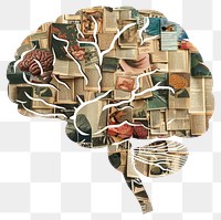 PNG Brain shape collage cutouts accessories furniture accessory