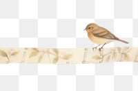 PNG Bird vintage illustration sparrow animal white background