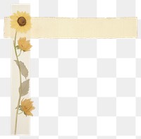 PNG Sunflower plant paper white background