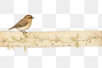 PNG Bird vintage illustration sparrow animal white background.