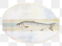 PNG Ocean with fish washi tape animal white background wildlife.