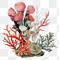 PNG Coral collage cutouts illustrated chandelier graphics
