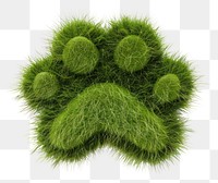PNG Paw shape grass green accessories accessory.