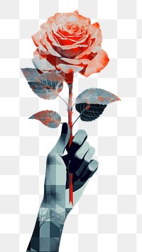 PNG Hand holding rose flower pattern plant.