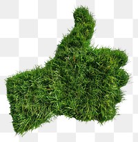 PNG Thumbs up shape lawn grass vegetation plant.
