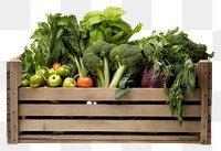 PNG  Vegetable crate furniture produce plant.