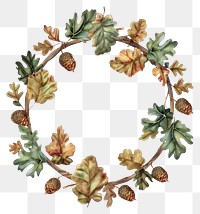 PNG Acorn frame watercolor wreath plant white background.