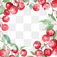 PNG Cherry border cherry backgrounds plant.