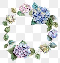 PNG Hydrangea circle frame watercolor wreath plant leaf.
