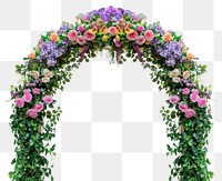PNG  Colorful floral arch flower plant rose