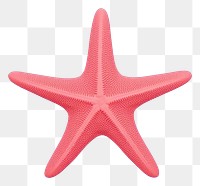 PNG Starfish shape transportation invertebrate.