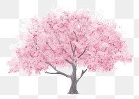 PNG Cherry blossom tree flower plant white background