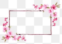 PNG Cherry blossom frame flower plant petal.