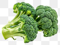 PNG Broccoli floret vegetable produce plant.