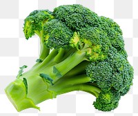 PNG Broccoli floret vegetable produce animal