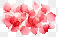 PNG Rose petals backgrounds plant red