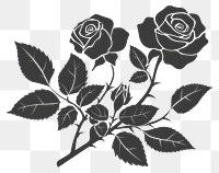 PNG Rose art illustrated blossom.